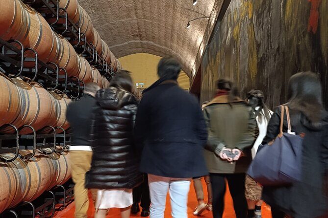 Rioja Day Tour: Explore Three Wineries with Tastings - Exploring Rioja in a Day: A Deep Dive into the Region’s Finest Wineries
