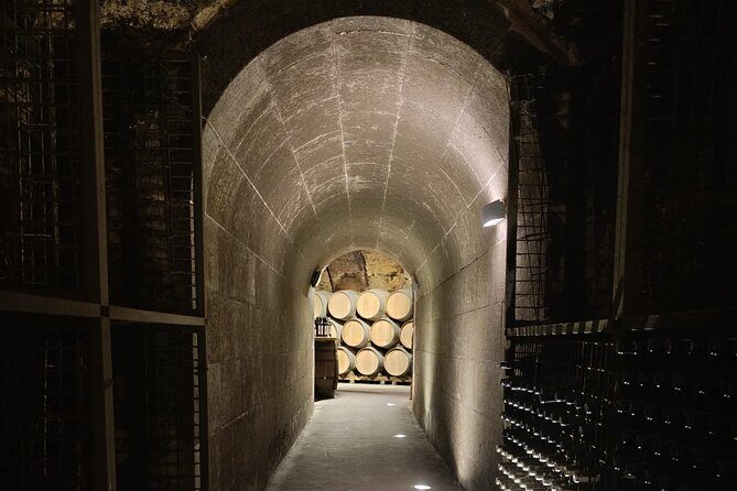 Rioja Day Tour: Explore Three Wineries with Tastings - The Sum Up: A Genuine, Value-Packed Wine Journey