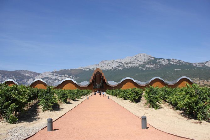Rioja Full Experience Tour from San Sebastian with Lunch - The Rioja Full Experience Tour from San Sebastian with Lunch: A Detailed Review