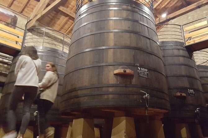 Rioja Full Experience Tour from San Sebastian with Lunch - Key Points