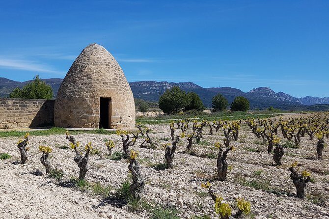 Rioja Full Experience Tour from San Sebastian with Lunch - Conclusions