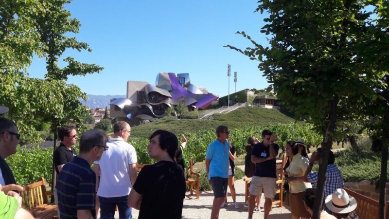 Rioja: Private Wine Tasting Tour - Who Should Consider This Tour?