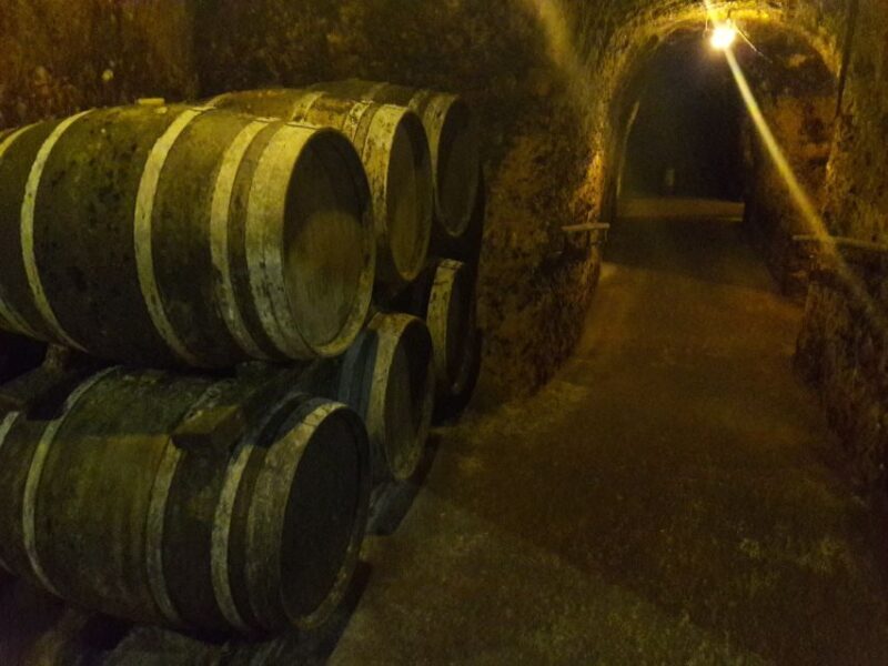 Rioja: Private Wine Tasting Tour - Final Thoughts: Is This Tour Worth It?