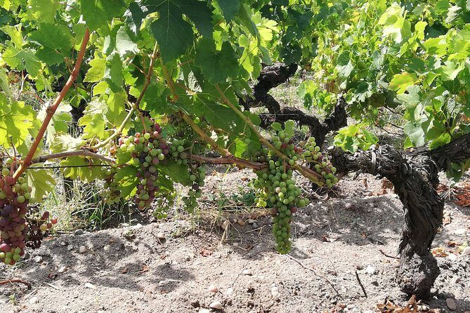 RIOJA UNCORKED - Private Enological Adventure - Key Points