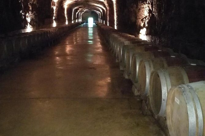 Rioja Wine Private Tour from San Sebastian - An In-Depth Look at the Rioja Wine Private Tour from San Sebastian