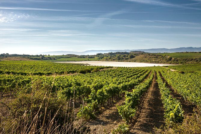Rioja Wine Tour: 2 Wineries From Bilbao - Final Thoughts