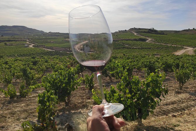 Rioja Wine Tour: 2 Wineries From Pamplona - Exploring the Rioja Wine Tour: A Deep Dive