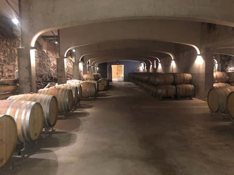 Rioja Wine Tour: 3 Wineries & Pintxos Lunch - Final Thoughts