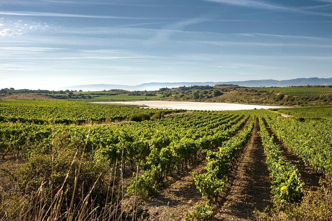 Rioja Wine Tour: Winery & Traditional Lunch From Pamplona - Frequently Asked Questions