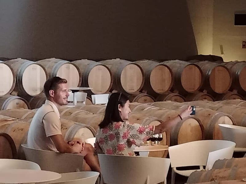 Rioja: Wine Tour with a Local Expert with Tastings - An In-Depth Look at the Rioja Wine Tour