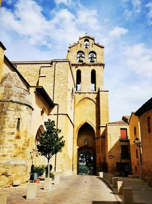 Rioja: Wine Tour with a Local Expert with Tastings - What Makes This Tour Stand Out?