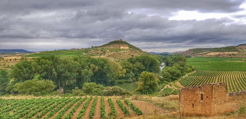 RIOJA: WINE TOUR WITH A WINERY OWNER - A deeper look at the Rioja wine tour with a winery owner