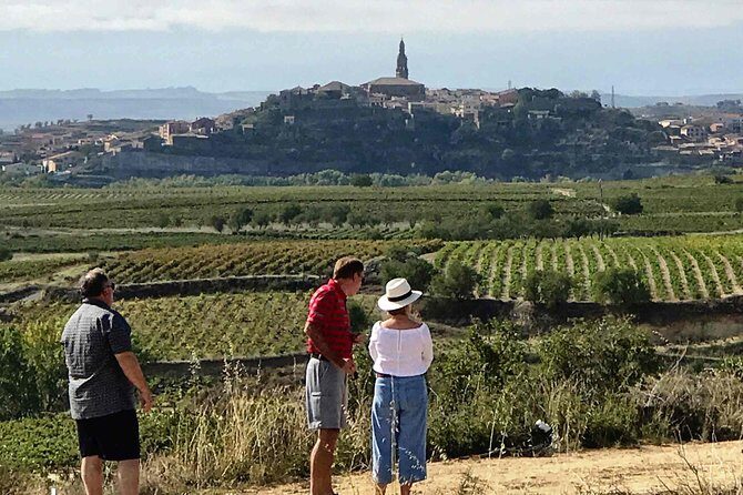 Rioja Wineries and Laguardia Tour with Picnic from San Sebastian - A Day in La Rioja: Wineries, Laguardia, and a Picnic