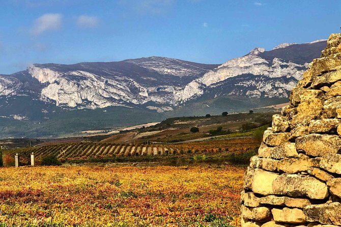 Rioja Wineries and Laguardia Tour with Picnic from San Sebastian - Final Thoughts