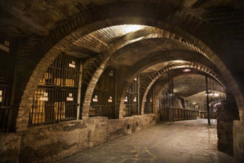 Rioja Winery & Traditional Lunch From Pamplona or Logroño - Who Will Love This Tour?