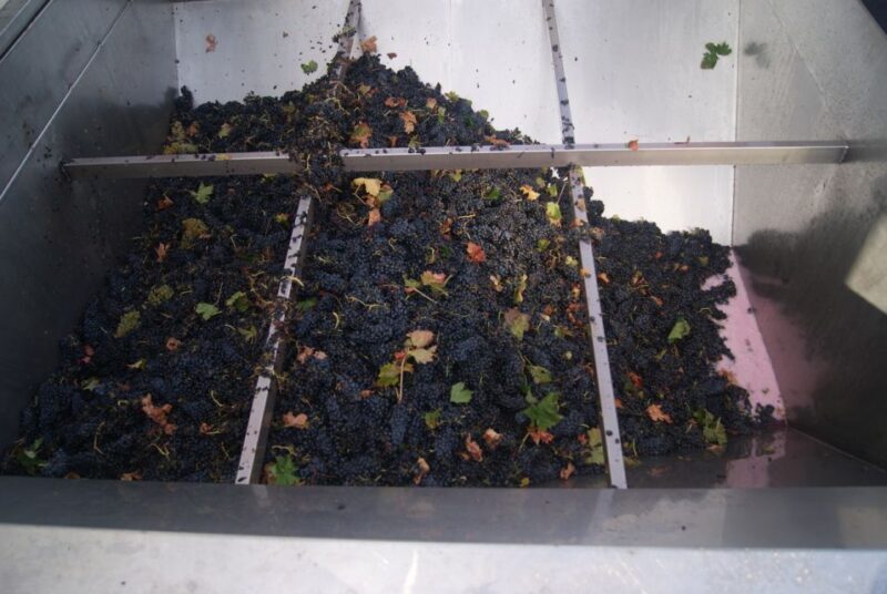 Rioja Winery & Traditional Lunch From Pamplona or Logroño - Final Thoughts