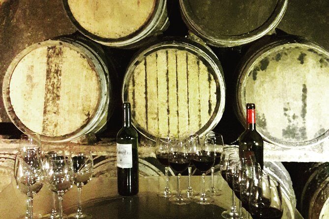Rioja's Top wines tasting private tour - A Closer Look at the Rioja Private Wine Tour