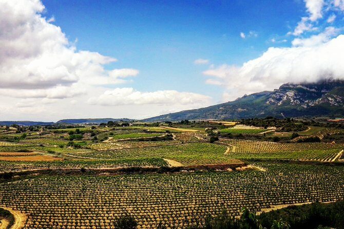 Rioja's Top wines tasting private tour - The Practical Side: Whats Included and Whats Not