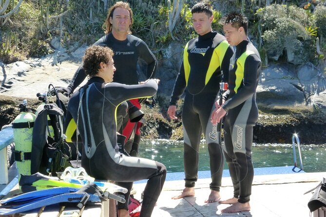 Rio's Best Dive Experience All Inclusive Scuba Diving Package! - Why This Tour Stands Out