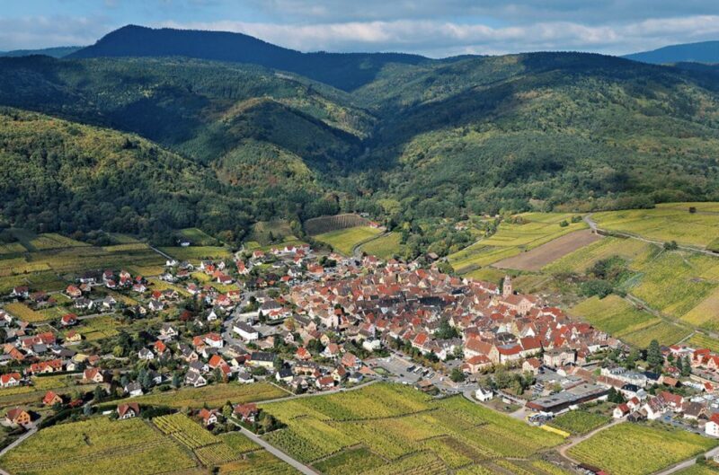 Riquewihr: Private Guided Walking Tour - Key Points