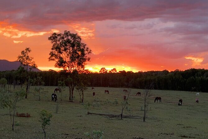 Rise and Shine 75 Minutes Early Morning Ride - Who Will Love This Experience?