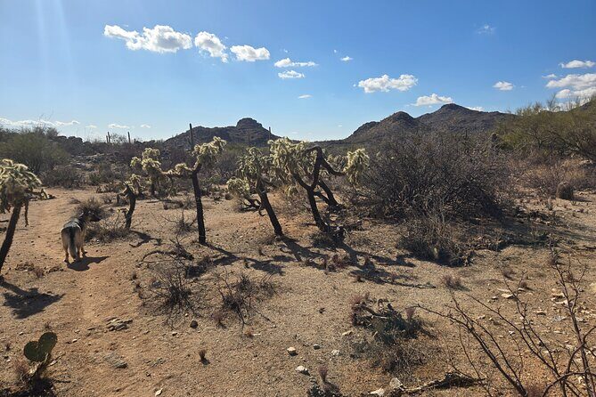 Ritz Dove Mountain and Totolita Hiking - An In-Depth Look at the Tucson Desert Hiking Tour