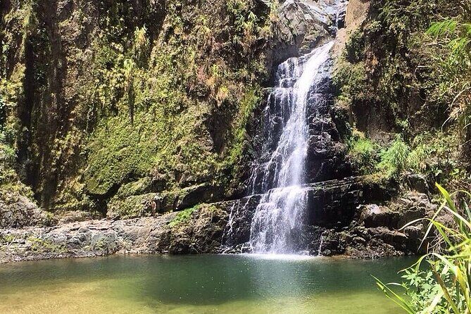 Riu Hotel Puerto Plata- Gregorio Luperon Airport - FAQ