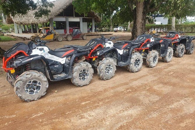 River Cave and Macao Beach Half-Day Quad Bike Adventure - Analyzing the Value: Is it Worth It?