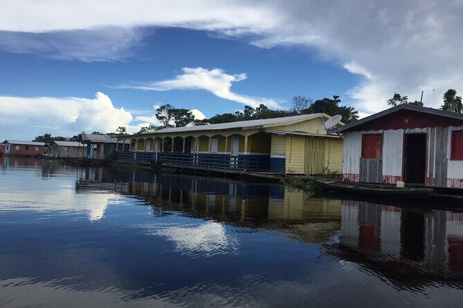 River Day Tour from Manaus - An In-Depth Look at the Amazon River Day Tour