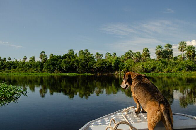 River eco-tourism on the Paraguay River - FAQ