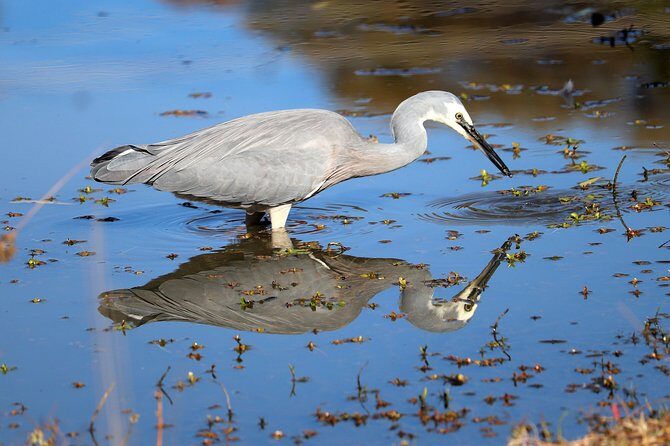 River Guru Rio Grande Mindfulness Adventure( remotely hosted) - FAQ