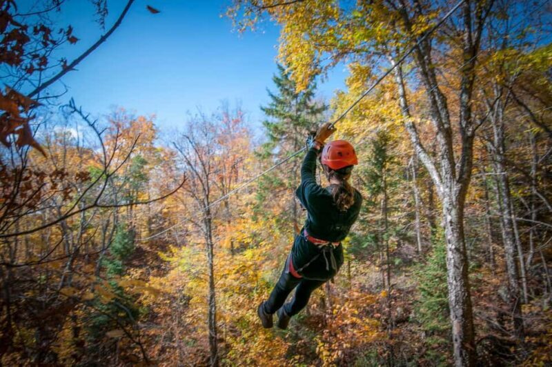 River Ziplines - Nature Tours - River Ziplines - Nature Tours: An Adventure in Quebec’s Laurentians
