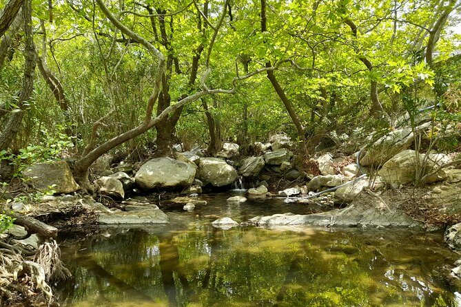 Riverbank Adventure in Naxos (Kinidaros - Eggares) - Discover the Beauty of Naxos on a Riverbank Adventure