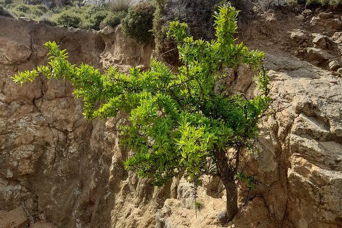 Riverbank Adventure in Naxos (Kinidaros - Eggares) - Final Thoughts: Who Will Love This Adventure?