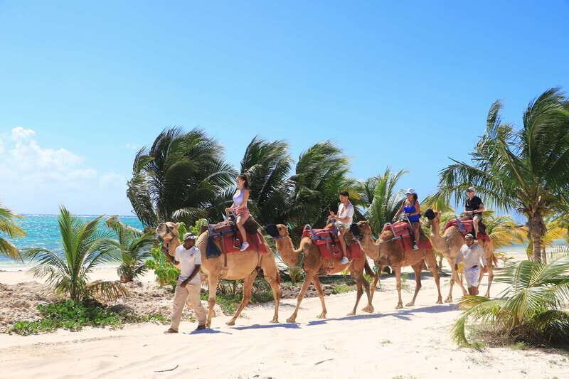 Riviera Maya: Camel Caravan Expedition and Beach Club Access - FAQ