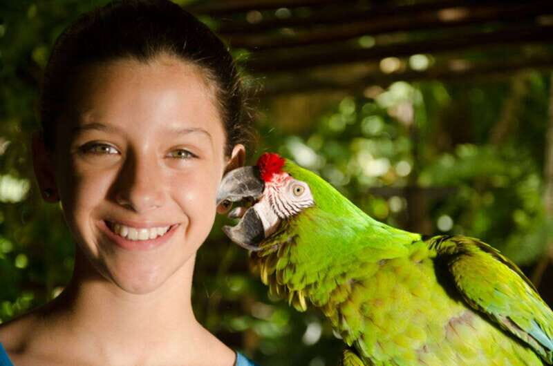 Riviera Maya: Croco Cun Interactive Zoo Tour - Key Points
