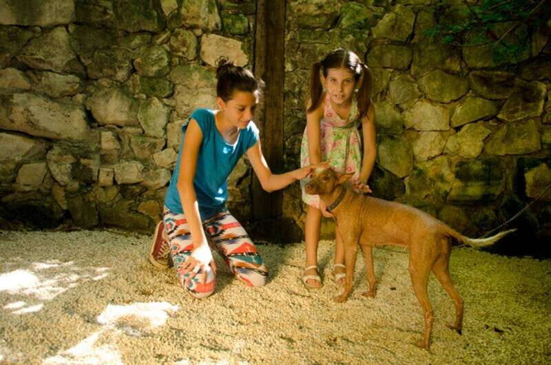 Riviera Maya: Croco Cun Interactive Zoo Tour - A Closer Look at the Croco Cun Zoo Experience