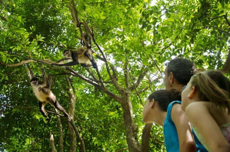 Riviera Maya: Croco Cun Interactive Zoo Tour - FAQs About Croco Cun Interactive Zoo Tour