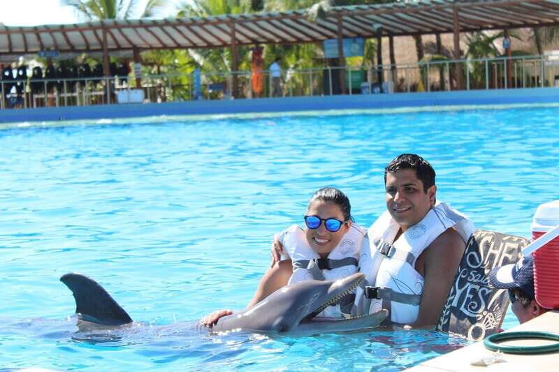 Riviera Maya: Dolphin Encounter with Beach Club Access - In-Depth Review: What to Expect and Why It Matters