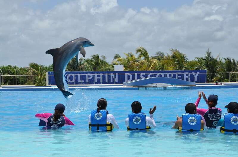 Riviera Maya: Dolphin Encounter with Beach Club Access - Authentic Feedback from Travelers