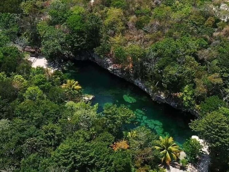 Riviera Maya: Full Day Tour to 5 Magical Cenotes - The Experience: Pros and Cons