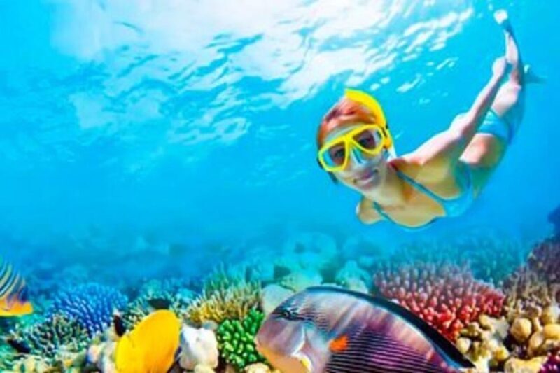 Riviera Maya: Isla Contoy and Isla Mujeres Full-Day Tour - Final Thoughts