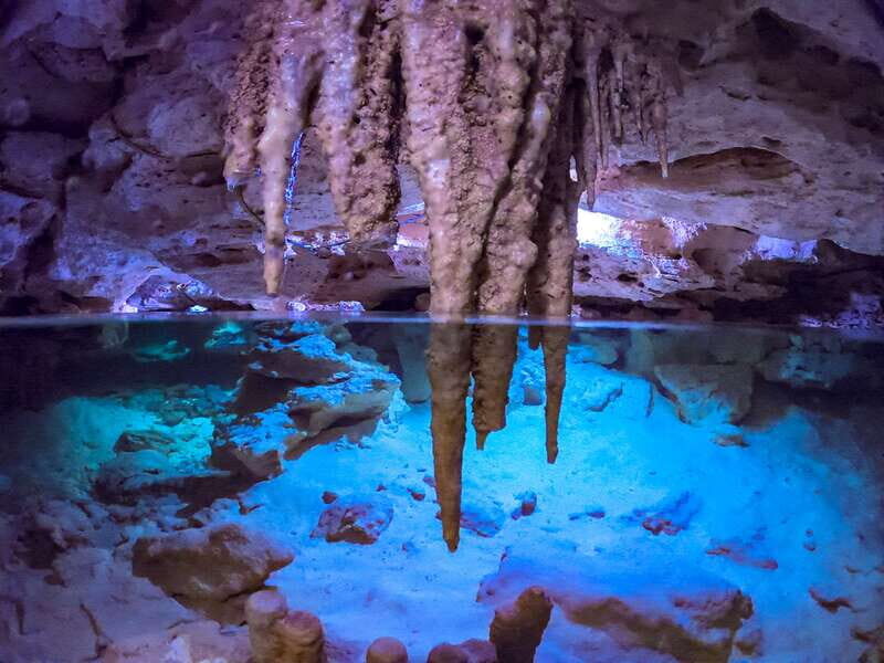 Riviera Maya: Kantun Chi Cenotes, Snorkel & Jungle Hiking - An In-Depth Look at the Kantun Chi Cenotes Tour