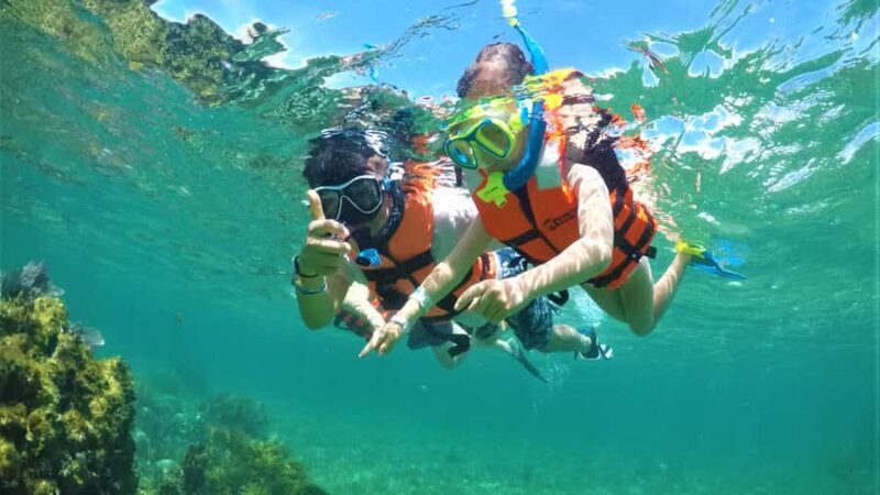 Riviera Maya: Private Adventure Camp with Activities - A Closer Look at the Experience