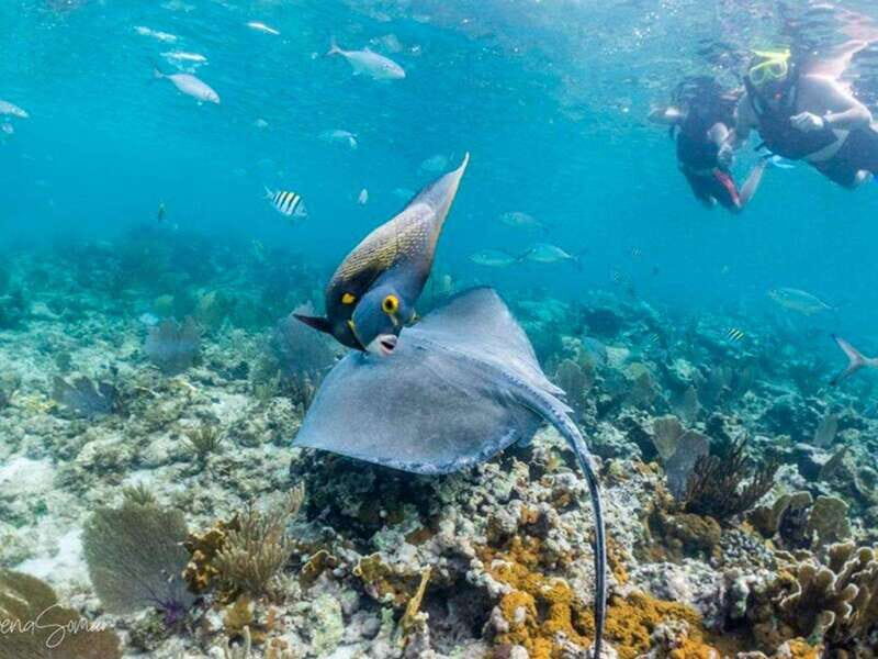 Riviera Maya: Private Catamaran Sailing for 42 Guests - An In-Depth Look at the Riviera Maya Private Catamaran Tour