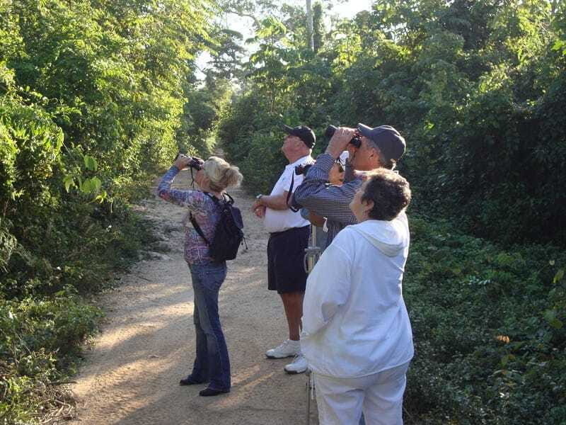 Riviera Maya: Puerto Morelos 4-Hour Bird Watching Tour - Practical Tips for Your Bird Watching Adventure