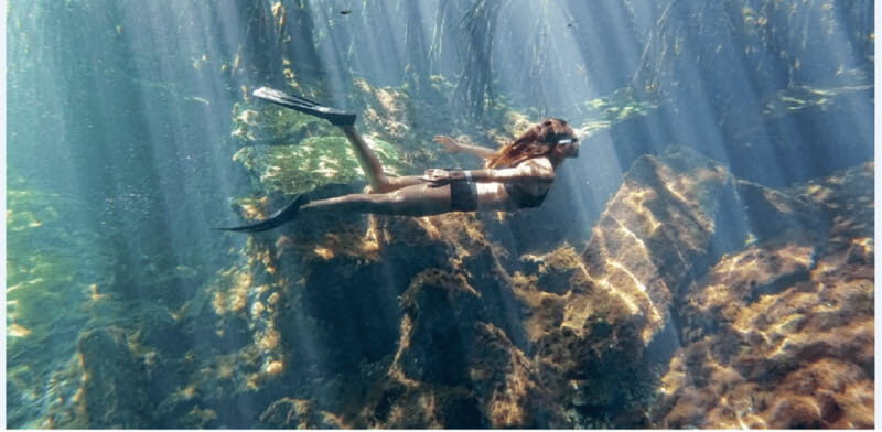 Riviera Maya: Snorkel Cenotes - In-Depth Review: What Makes This Tour Stand Out