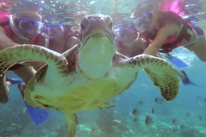 Riviera Maya Snorkeling - Exploring the Details of the Riviera Maya Snorkeling Tour