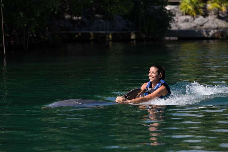 Riviera Maya: Swim with dolphins Interax - Key Points
