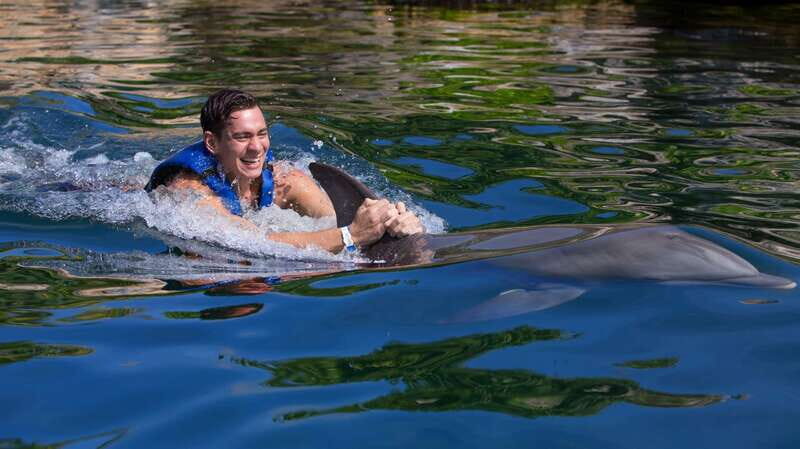 Riviera Maya: Swim with dolphins Interax - A Closer Look at the Experience